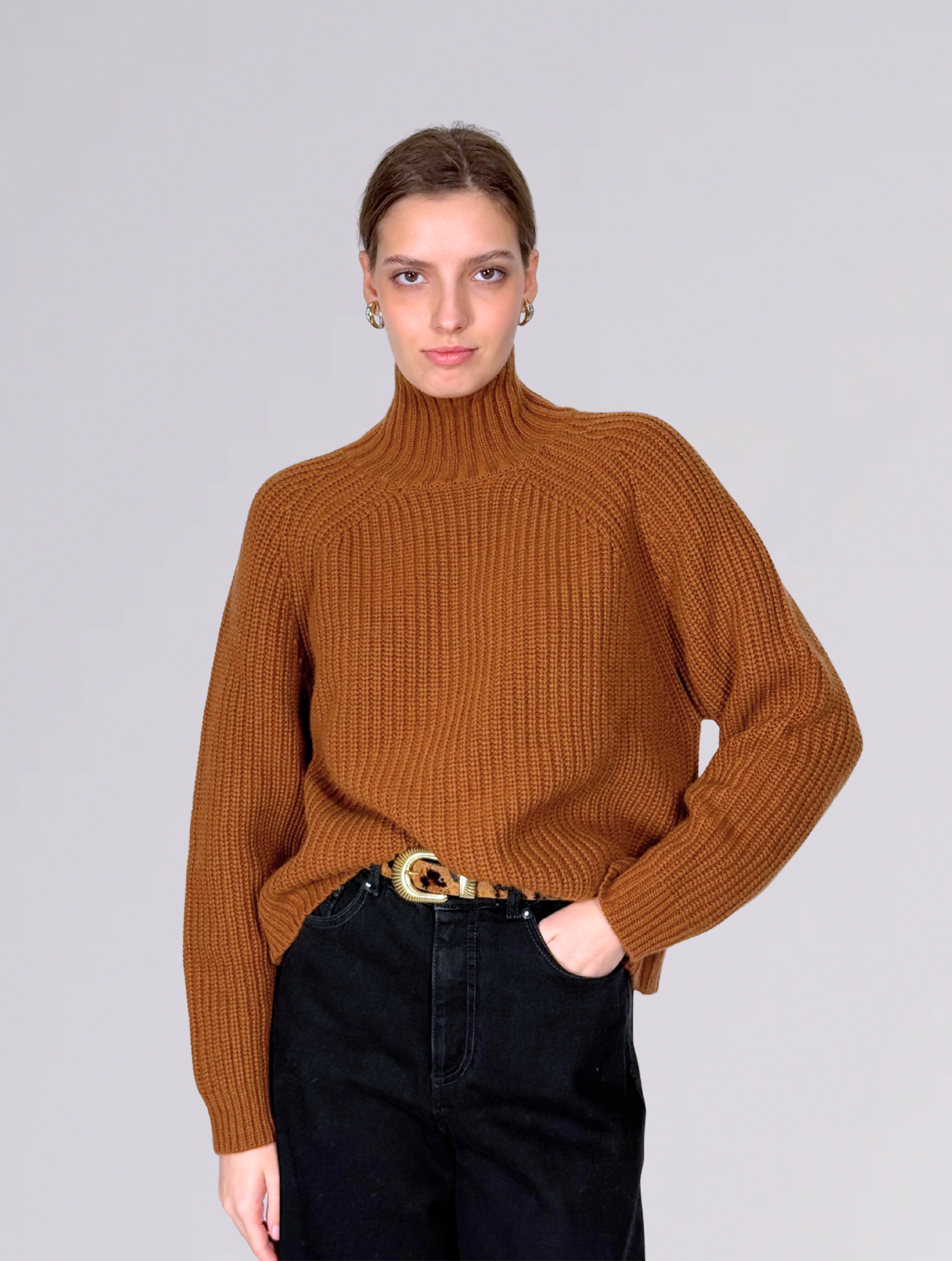 Maglione dolcevita 17031MARRONE Allude