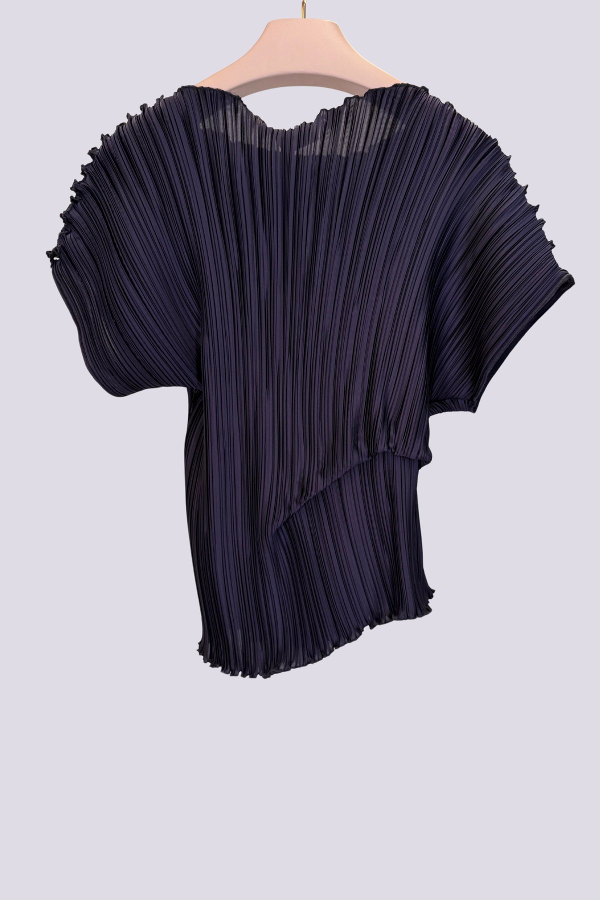 Top Ambrosia viola 