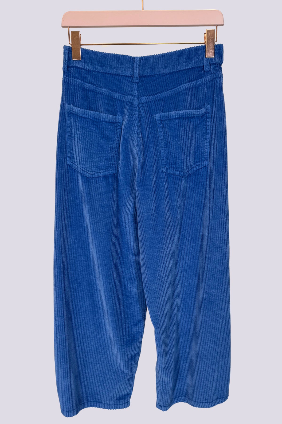 Pantaloni in velluto azzurro 